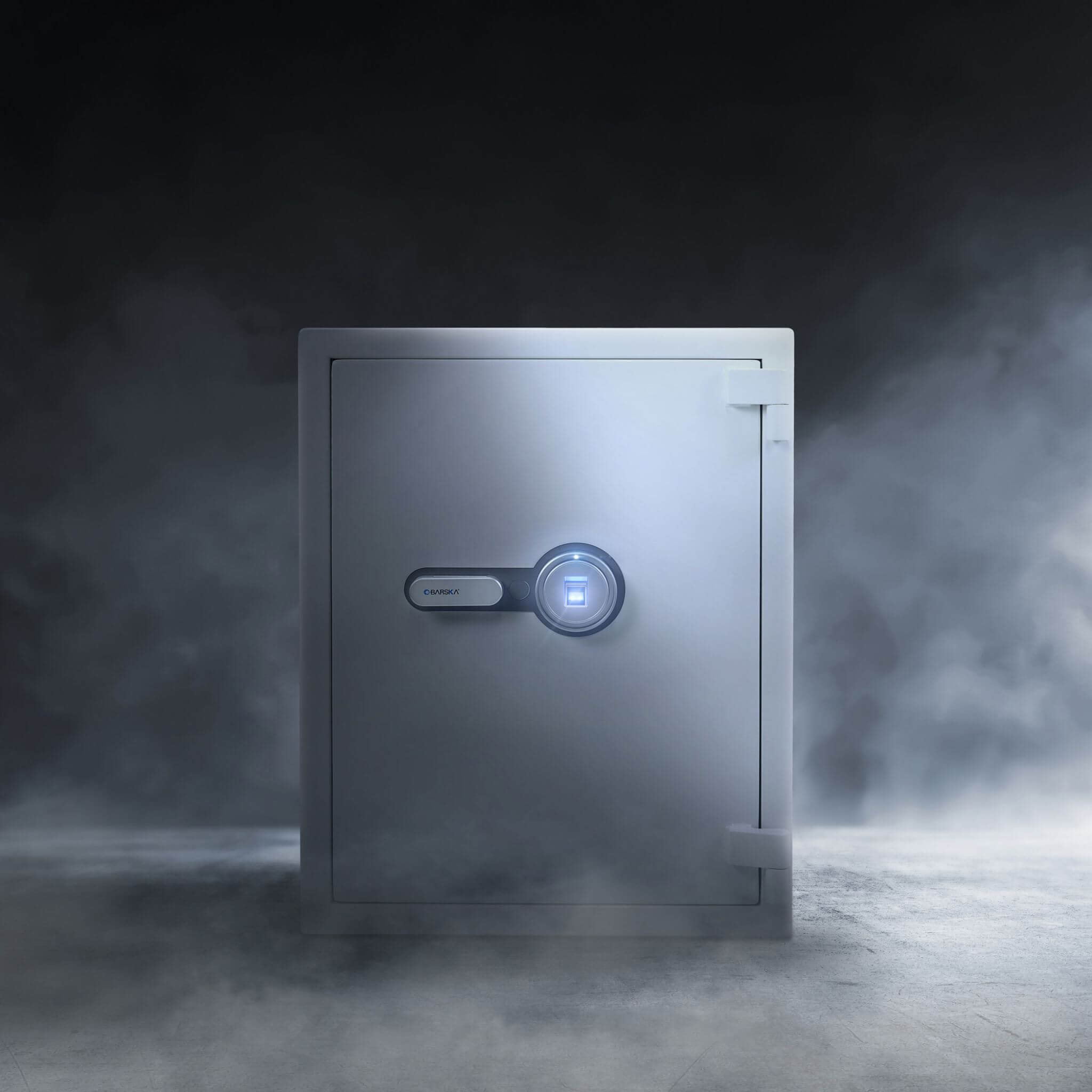 Barska 4.48 CF Large Heavy-Duty Fireproof Biometric Safe (SAK83490)